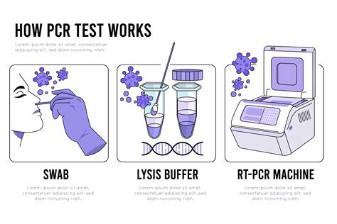 Efficacy of the two PCR kits for SARS-CoV-2 nucleic acid Detection - BioXone