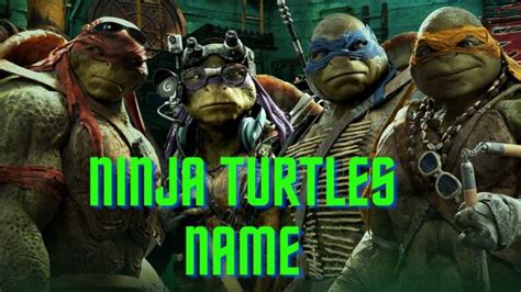 Teenage Mutant Ninja Turtles Names: The Origins And Meanings