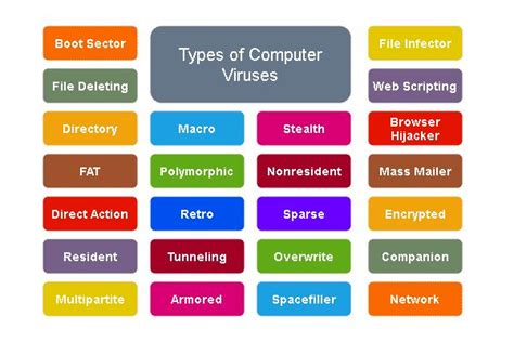 20+ Different Types of Computer Virus | Computer virus, Learn computer ...