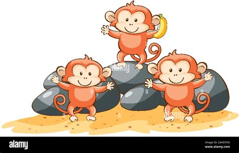 Three monkeys on white background illustration Stock Vector Image & Art - Alamy