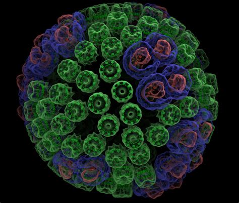 How Does the Purple Bacteria Photosynthesize? Beckman Institute-UIUC ...