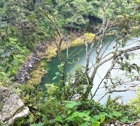 Fotos de La Trinitaria: Imágenes y fotografías