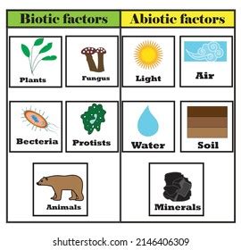 ⛔ What is biotic components. Examples of Biotic Factors: 3 Types. 2022-11-07