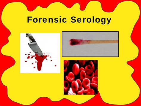 (PDF) FORENSIC SCIENCE Serologystaff.katyisd.org/sites/0511662/PublishingImages/Pages/default ...