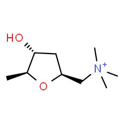 Muscarine | C9H20NO2 | ChemSpider