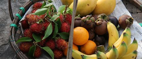 Tropical Fruit in Melbourne - Bulleen Art Garden