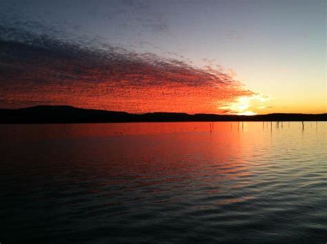 Lake Dardanelle State Park - 2021 All You Need to Know BEFORE You Go ...