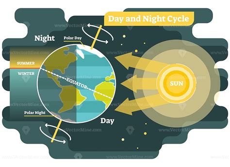 Description: 24 hours day and night cycle diagram, graphic vector ...