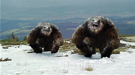 Yeti Spaghetti: The Best of the Worst Yeti Movies