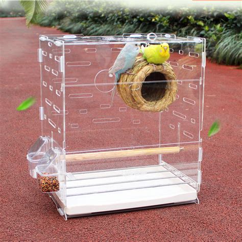 Custom Clear Acrylic Parrot Bird Cage - China Bird Cage and Acrylic Bird Cage price