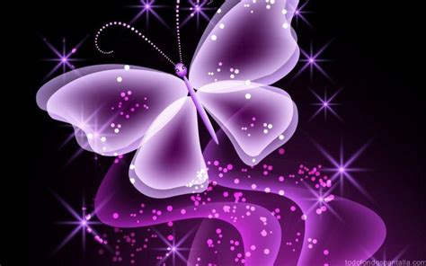 Purple Butterfly Desktop Wallpaper - WallpaperSafari