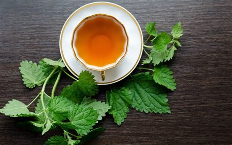 8 Potential Health Benefits of Nettle Tea | The Healthy