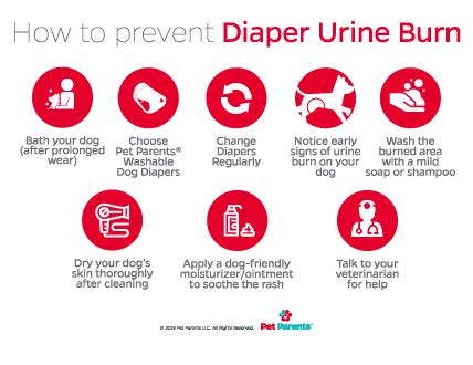 How to Avoid Discomfort from a Diaper Urine Burn?