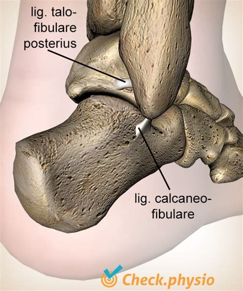 Lateral ankle ligament injury | Physio Check