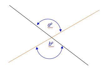 Vertical Angles Examples