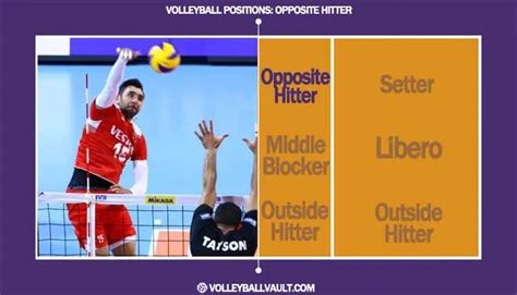 Volleyball Positions 101: Player Roles Explained in 2024