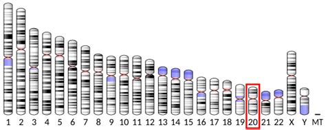 CDS2 - Wikipedia