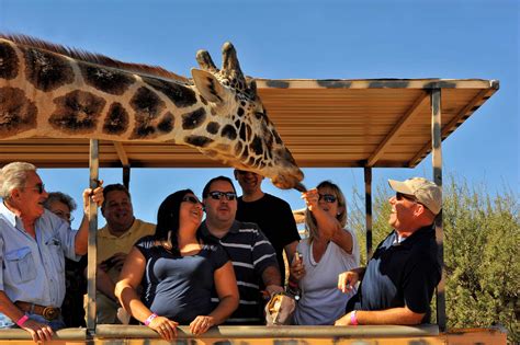 Welcome TEMBA and MAWENZI - Out of Africa Wildlife Park