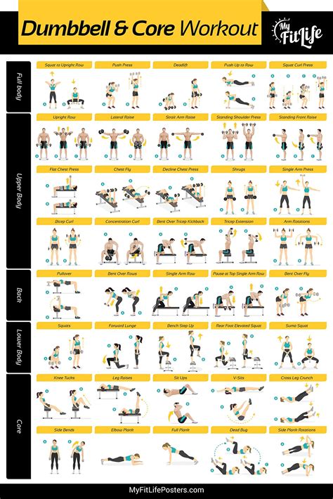 My Fit Life Gym Dumbbell and Core Workout Poster Laminated ...