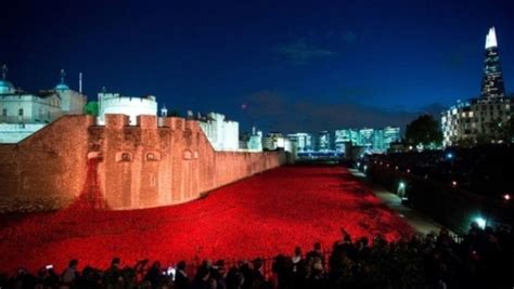 Tower of London poppy artist reveals his 30ft tulip tower exhibit | ITV ...