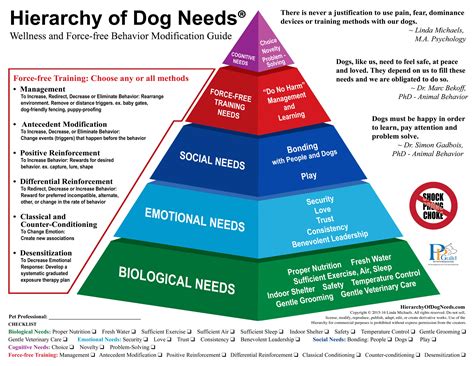 Hierarchy of Dog Needs