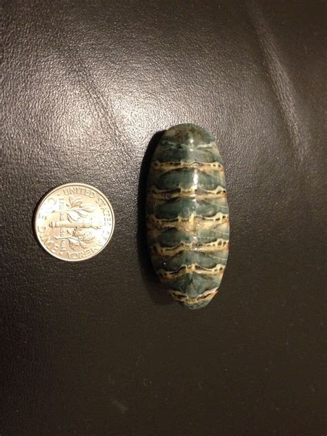 I was told this might be a roach egg from the Amazon. I bought it in the 1990s. Does anyone know ...