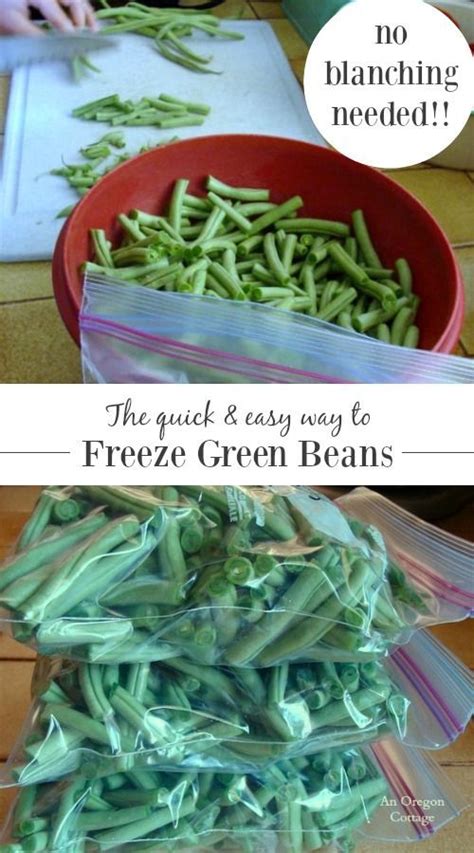 Think you need to blanch green beans before freezing? Our family did a ...