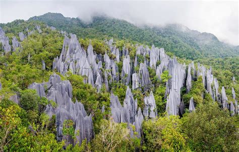 Parque Nacional de Gunung Mulu, Malasia | Parques nacionales, Viajar a malasia, Parques