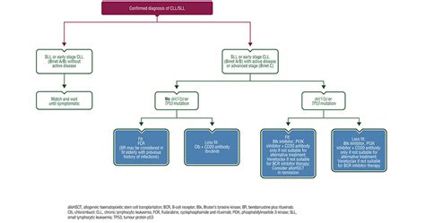 Chronic Lymphocytic Leukaemia Treatment Recommendations