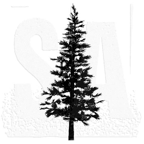 Pine Tree Outline | Free download on ClipArtMag