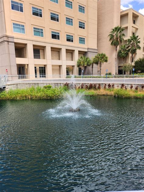 MEMORIAL HOSPITAL JACKSONVILLE - Updated December 2024 - 86 Photos ...