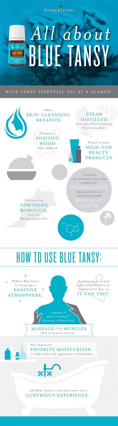 Blue Tansy Oil Uses & Benefits | Young Living Blog