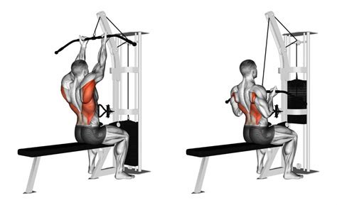 Supinated Lat Pulldown (Reverse Grip) Benefits & Proper Form