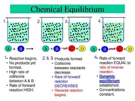 Chemical Equilibrium: Dynamic Equilibrium in Chemistry