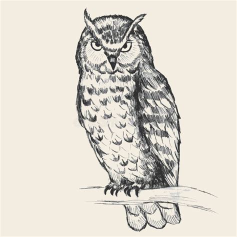 Little Owl Pencil Drawing Printable Little Owl Drawing | lupon.gov.ph