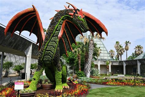 'Imaginary Worlds' open at San Antonio Botanical Garden