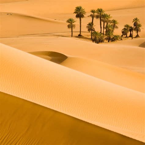 Sahara Desert Oasis Wall Art | Photography