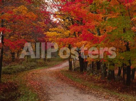 Country Road in the Fall, Vermont, USA Photographic Print by Charles Sleicher at AllPosters.com