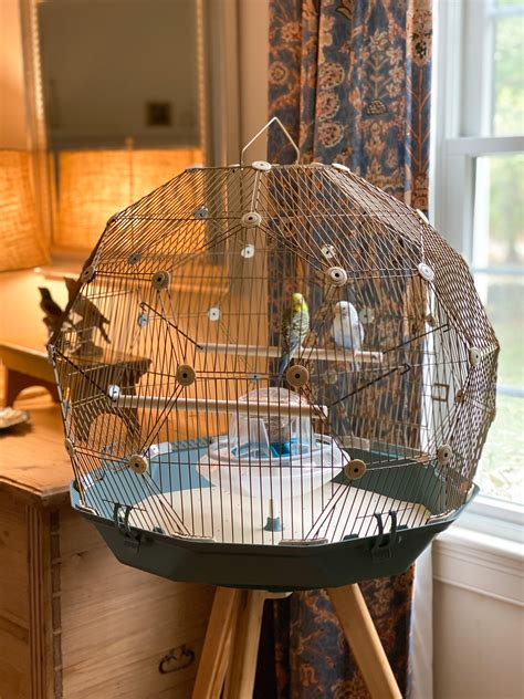 Geo Bird Cage: The Parakeets Get a New Home - Tilly's Nest