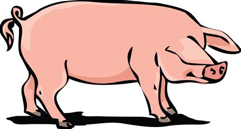 Hog Huge Freebie Download For Powerpoint - Pig Pork Clipart - Png Download - Full Size Clipart ...