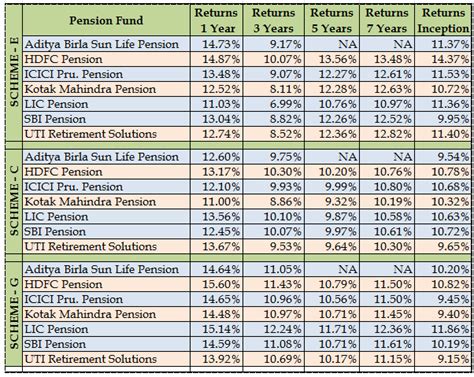 NPS cheers investors with double-digit returns in 2020. Should you ...