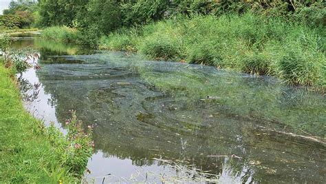 Legislation brings biodiversity net gain regime a step closer - Farmers Weekly