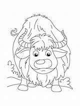 Cartoon Yak coloring Page sketch template