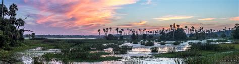 Early morning at Orlando Wetlands in central Florida [OC] [10771x2896 ...