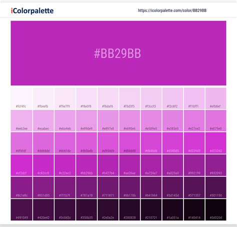 Pantone Purple C Color | Hex color Code #BB29BB information | Hsl | Rgb | Pantone