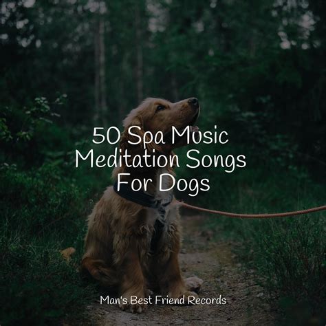 Stress Relief_Pet Care Music Therapy、Dog Music Club、Calming Music for ...