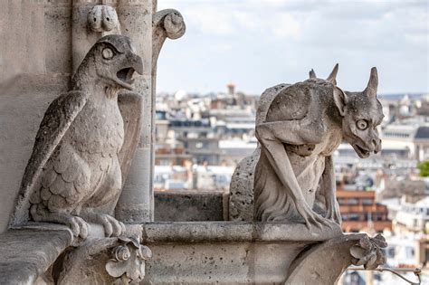 Notre Dame Cathedral Gargoyles Drawing