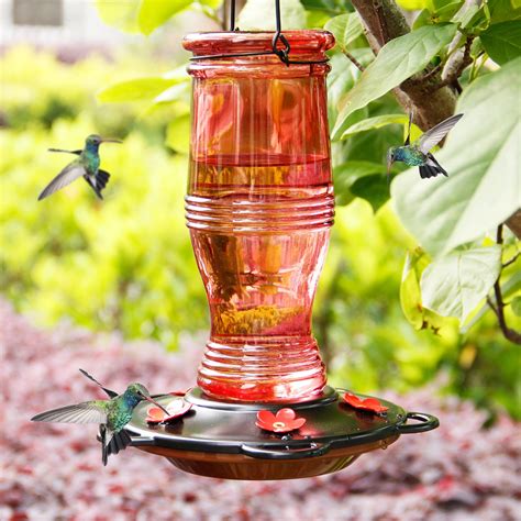 The Decorative Hummingbird Feeder: A Beautiful Choice – Nature Blog Network