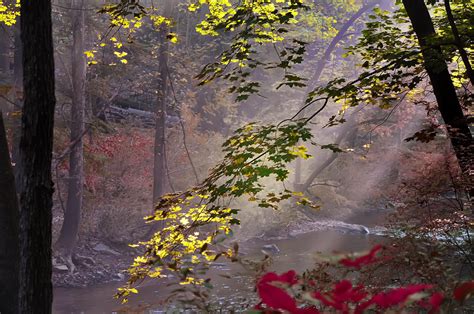 Wissahickon Autumn Photograph by Bill Cannon