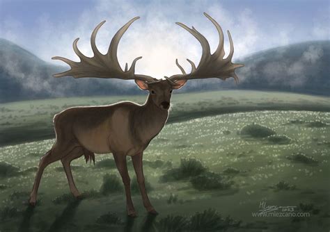 Megaloceros giganteus, Marina Lezcano